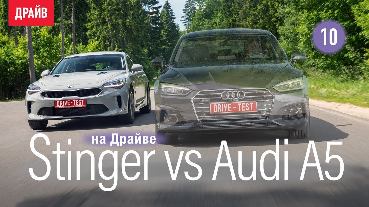 kia Stinger в гараже Драйва Эпизод 10: сравнение с Audi A5 Sportback